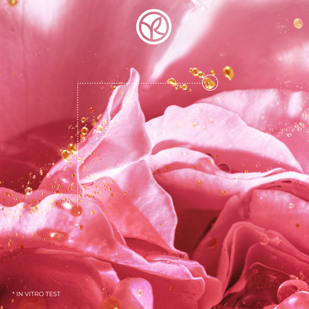 Riche Cream Anti-Wrinkle - Night Cream