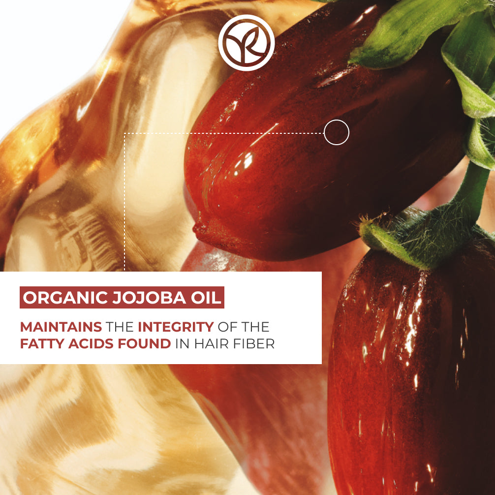 Light Botanical Leave-in Balm