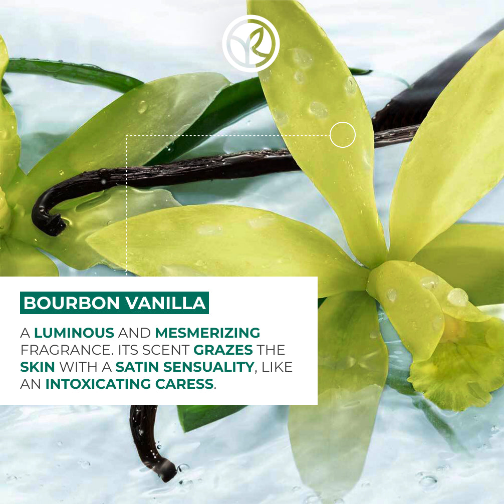 Bourbon Vanilla Moisturizing Hand Cream