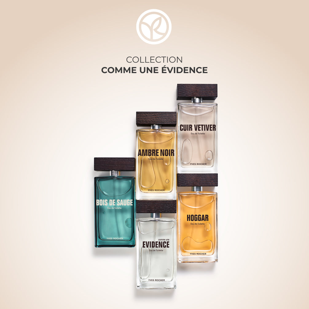 Hoggar Eau de Toilette 100 ml