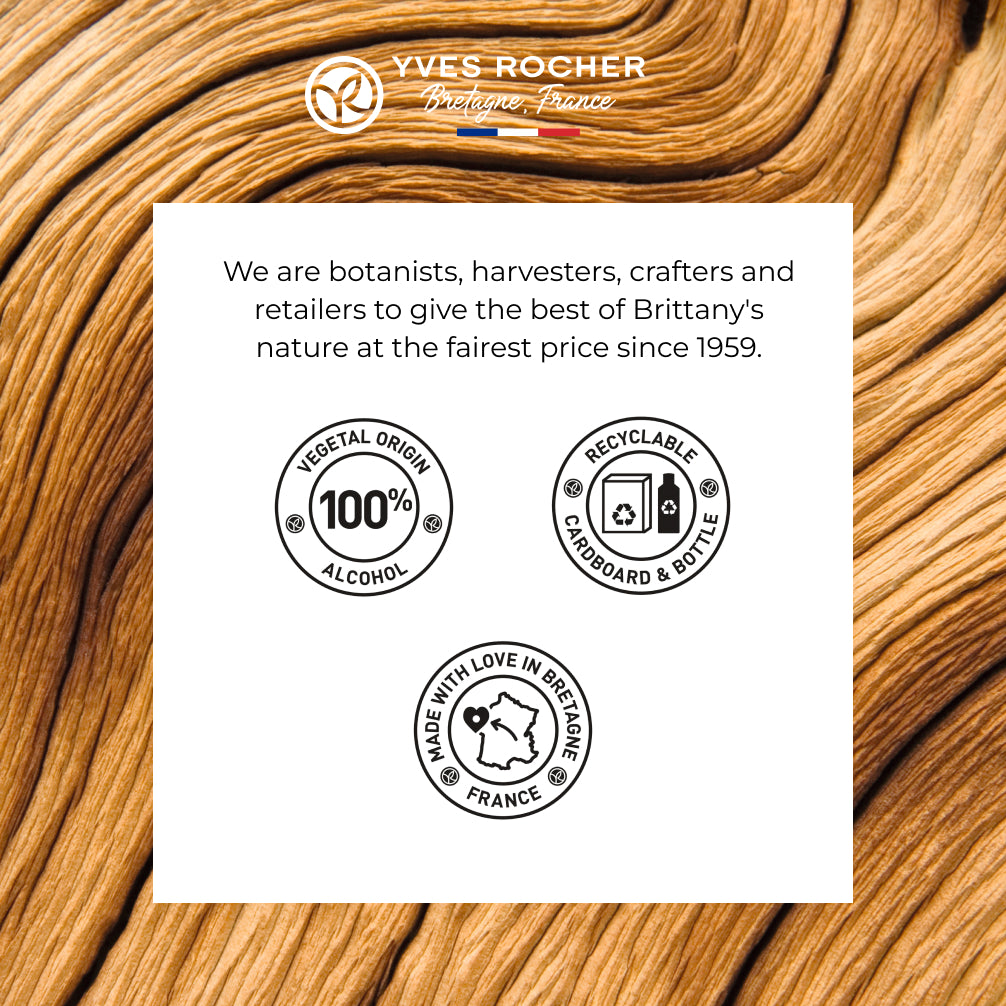 Eau de toilette for men Ambre Noir 100 ml