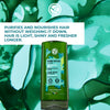 The Detox & Purify Hair Set
