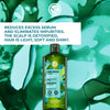 The Detox & Purify Hair Set