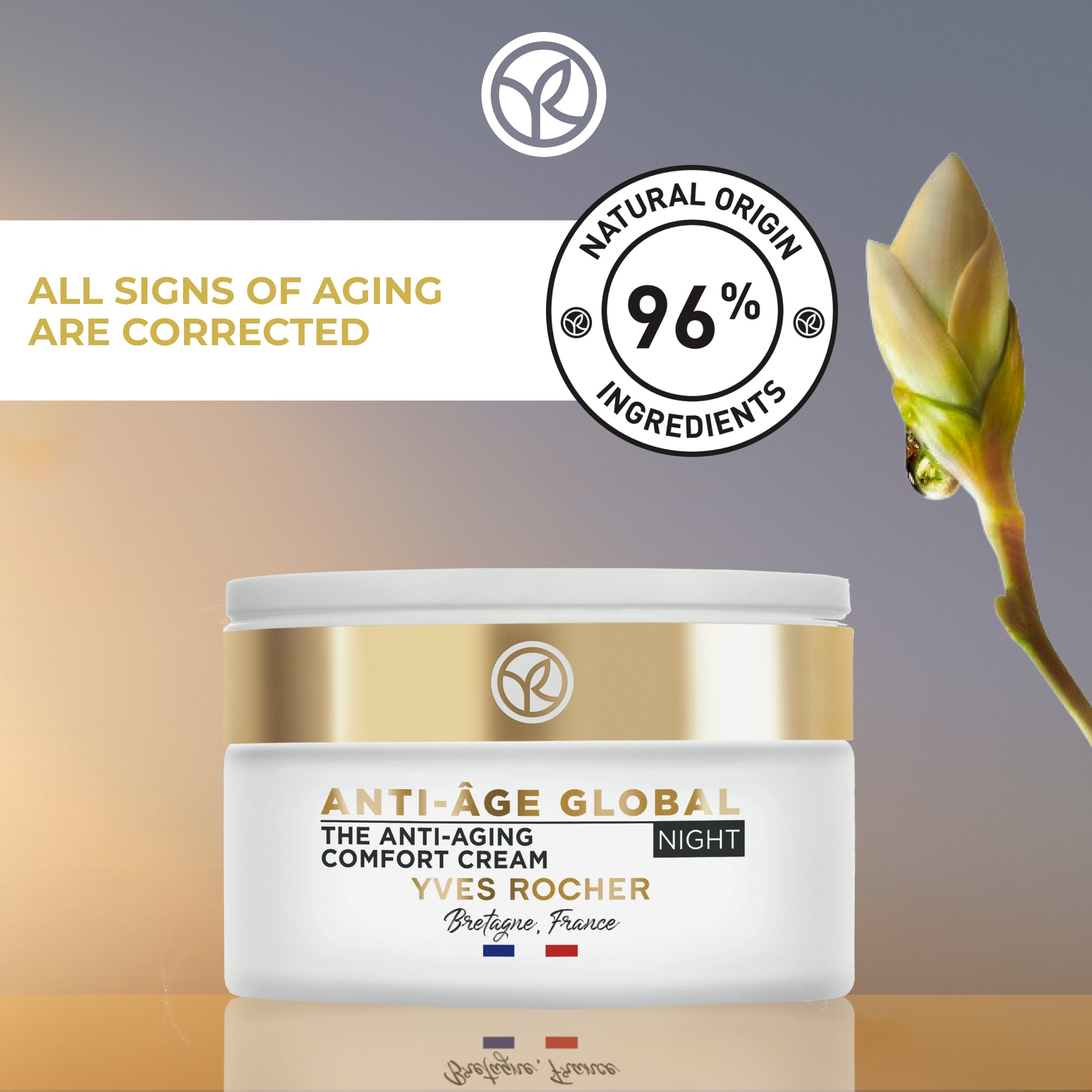 Anti-Aging Comfort - Night Cream
