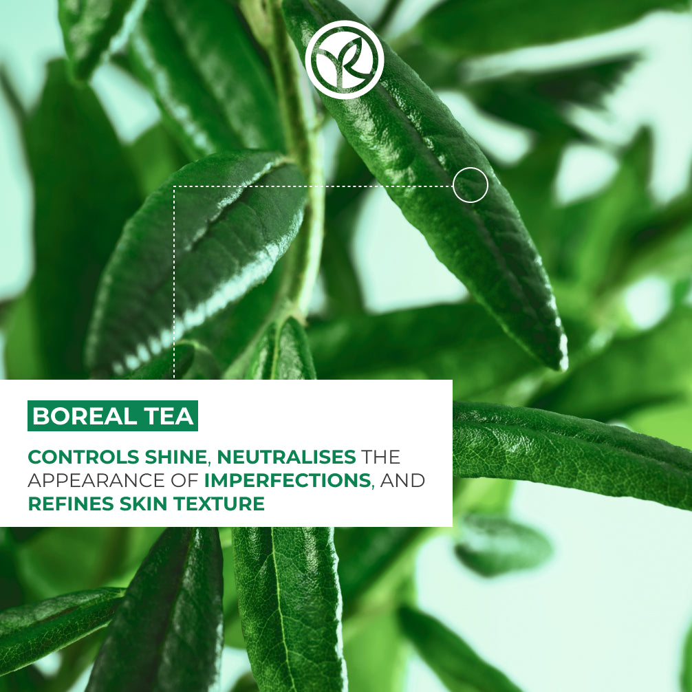 Rebalancing & Antioxydant Essence - Serum