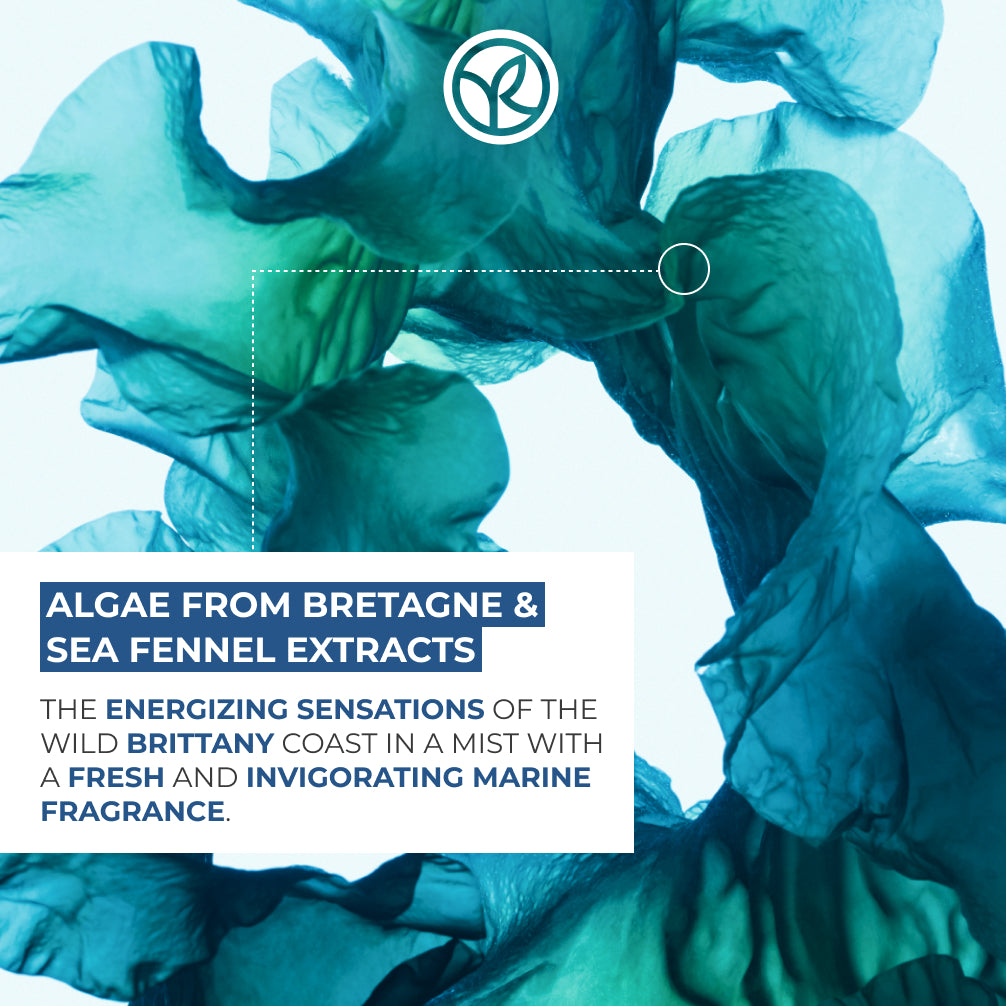 Wild Algae & Sea Fennel Moisturizing Hand Cream