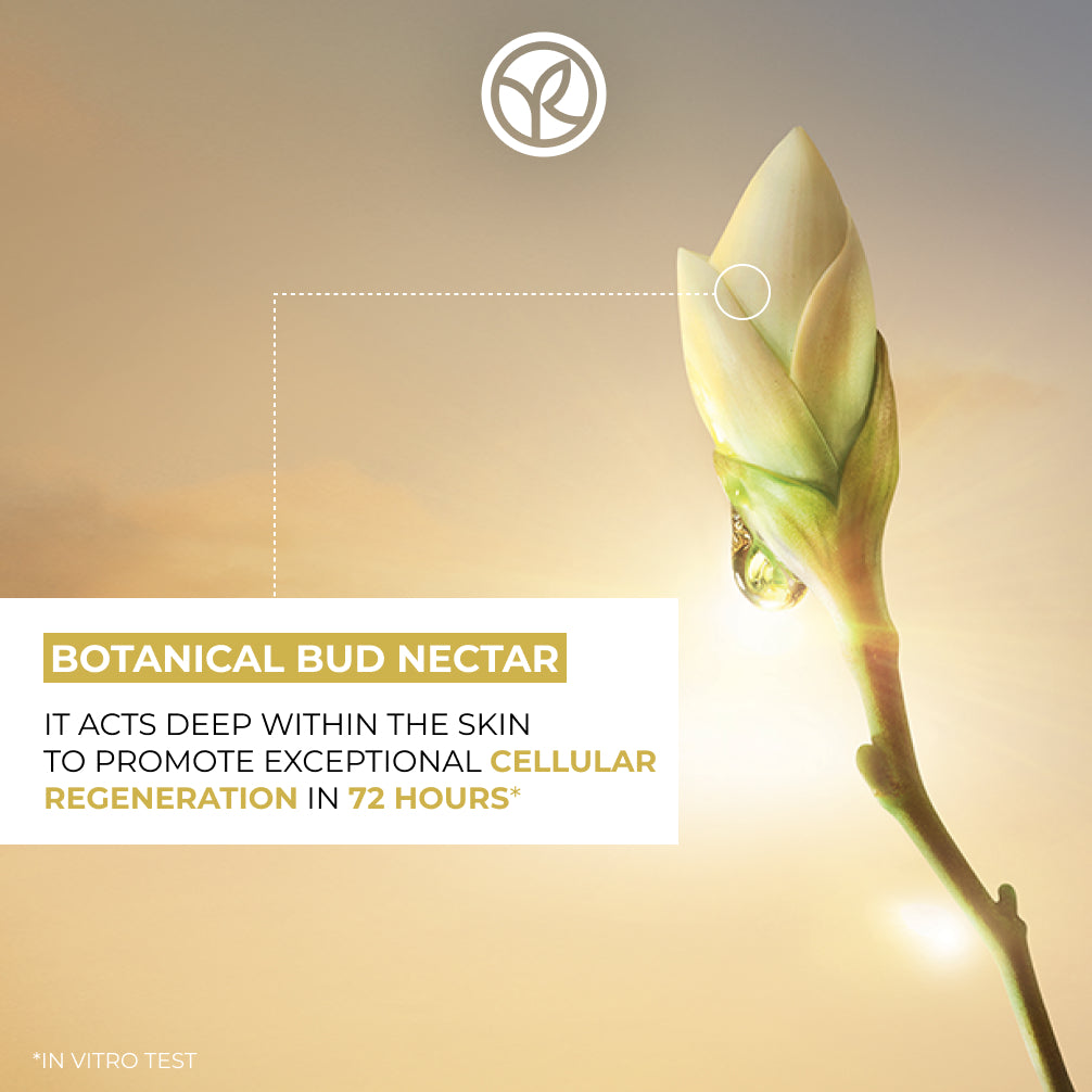 The Bi-Phased Night Recovery Concentrated Serum