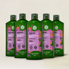 5-Pack Curls Shampoo