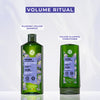 Plumping Volume Shampoo