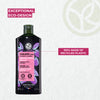Illuminating Purple Shampoo - Color