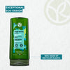 The Detox & Purify Hair Set