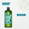 The Detox & Purify Hair Set