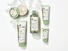 Light Moisturizing Cream