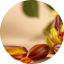 Organic Jojoba Oil
