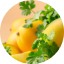 Mango and Coriander