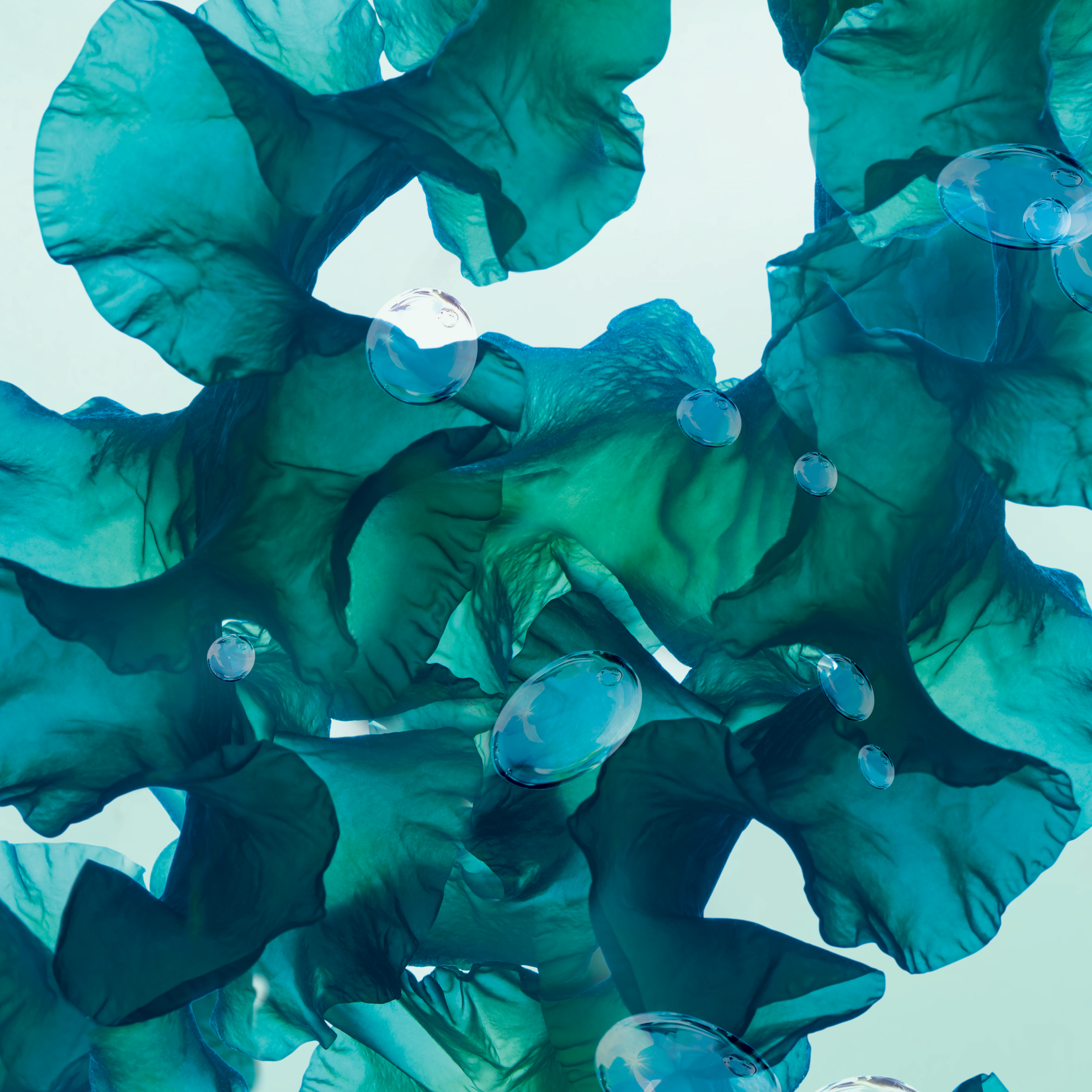 The Ultra-Fresh Cleansing Gel